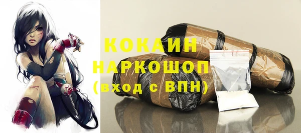 стафф Кадников
