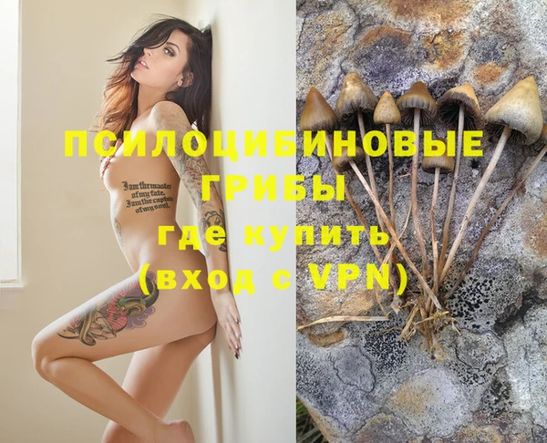 индика Лихославль