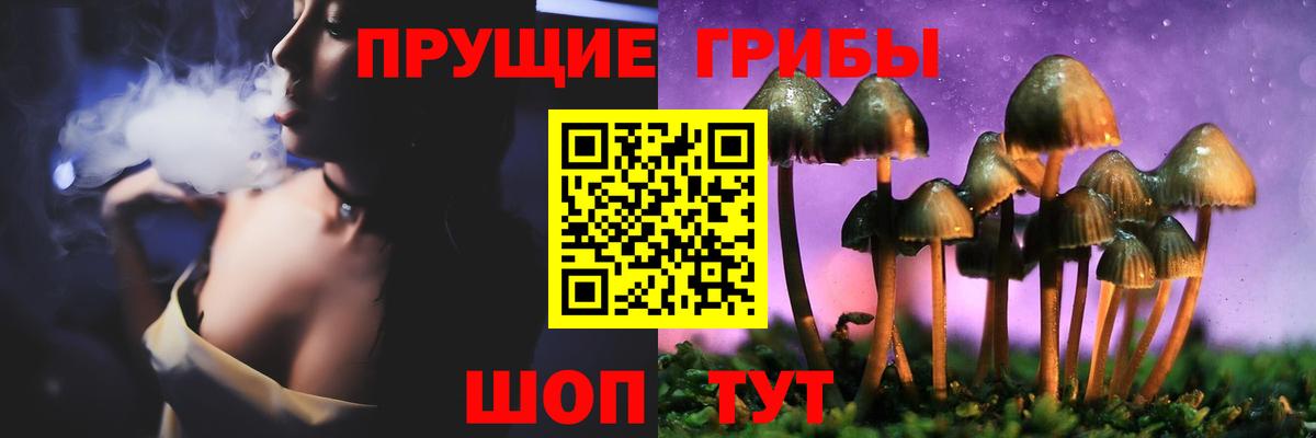 Псилоцибиновые грибы мицелий Мариинск